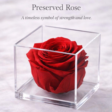 Forever Rose