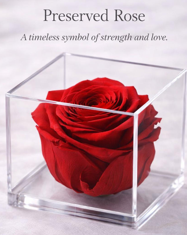 Forever Rose