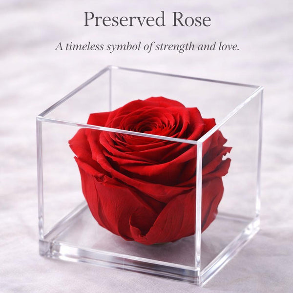 Preserved Rose
